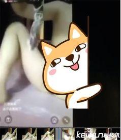 黄鳝门在线观看神马,揭秘网络直播背后的惊悚真相  第2张